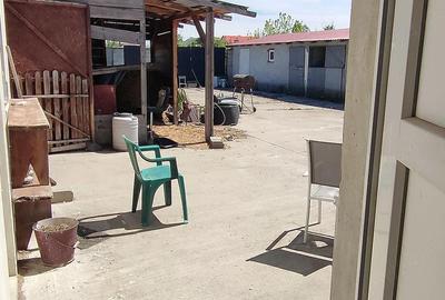 Casă cu Teren 1400 Mp în Tormac - 2