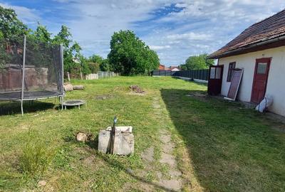 Casă cu 4 camere în Criș - 6