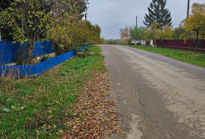 Butimanu (Decindea) Jud. Dambovita, teren intravilan si extravilan - 4