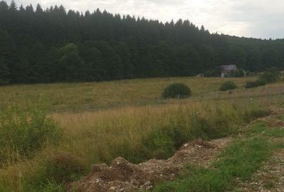 Teren de 1350 mp, în Vlădeni - 9