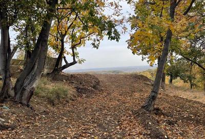 Oportunitate investi?ie Manastirea Dealu - 9