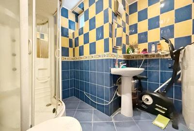 Penthouse 5 camere, 194mp utili, zona Colegiul National Banatean - 18