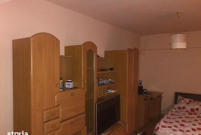 Garsonieră în Lăpuș Argeș - 3