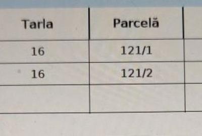 Casă cu 2 camere în Sângeorgiu de Mureș - 1