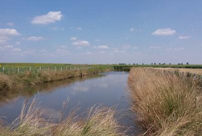 Casă cu 2 camere în Băilești - 2