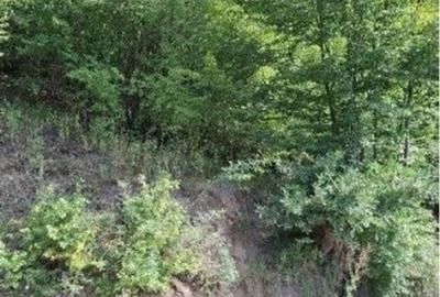 Teren de 400 mp, în Șotânga - 6