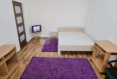 Garsonieră decomandată în Dristor - 15