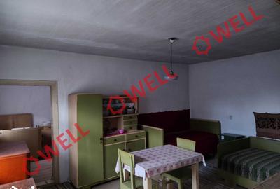 Casă cu 7 camere cu Teren 1123 Mp în Zăbala - 8