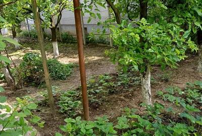 Casa de vanzare Turda Casa de vanzare Turda - 6