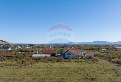 Teren Sanpetru -livada, Strada Nucului, 1296mp, apa, gaz, curent - 9