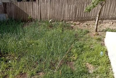 Casă cu 4 camere în Central - 1