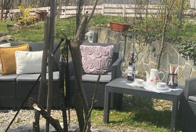 Proprietate Breaza de vis , zona de vis , prezentarea agentului , de vis Proprietate Breaza de vis , zona de vis , prezentarea agentului , de vis - 36