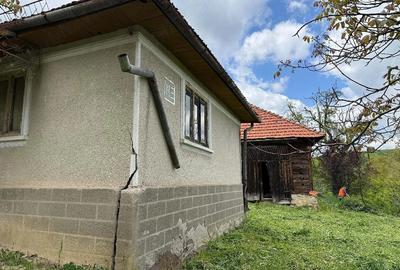 Casă cu 4 camere cu Teren 1000 Mp în Târnăvița - 1