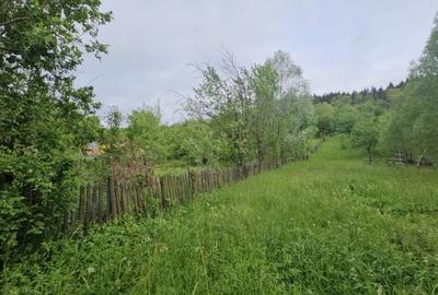 TEREN VANZARE VALEA DOFTANEI - 2