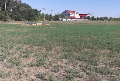 Teren de 4000 mp, în Căldărușeanca - 9