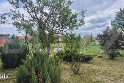 Casă cu 3 camere cu Teren 2918 Mp în Doba - 5