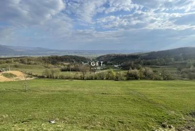 Casă cu 7 camere cu Teren 3500 Mp în Colibița - 2