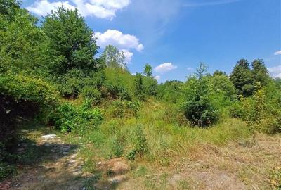 Teren Construcții intravilan de 2000 mp, în Calea Caransebeșului - 6