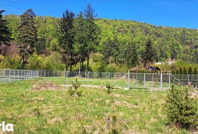 Teren de 800 mp, în Bunloc - 6