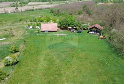 Domeniu - 66 Hectare - Teren deosebit Copsa Mica cu desch... - 1