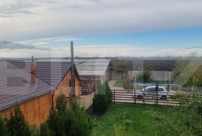 Proprietate multifunctionala,VILA,Teren 28000 mp+afacere pis - 26