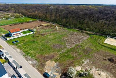 Spațiu comercial, în Dumbrăvița - 11