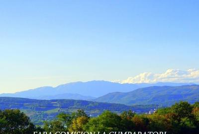 BUDESTI, TEREN 1000 MP, PRIVELISTE MINUNATA - 6