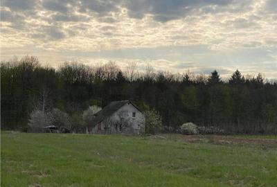 RECO Casa cu teren in Alparea 13km de Oradea - 12