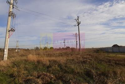 Teren la Asfalt cu utilitati alaturi (Curent & Gaz) langa Bucuresti - 23