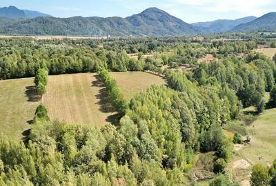 Teren intravilan, priveliste deosebita - 9