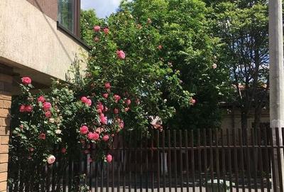 Casă individuală cu 5 camere cu Teren 200 Mp în Cotroceni - 2