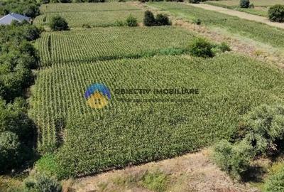 Teren de 3866 mp, în Izvoare (Dumbrava Roșie) - 9