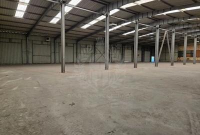 HALA 2300 MP//PARCUL INDUSTRIAL//ZONA YAZAKI - 3