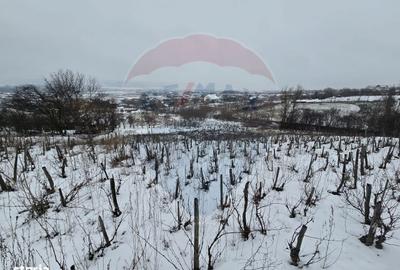 Teren de 6850 mp, în Central