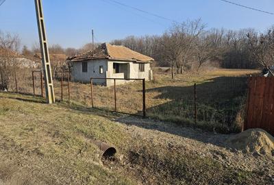 Oportunitate casa demolabila cu teren 1600m Padure Draganesti - 8