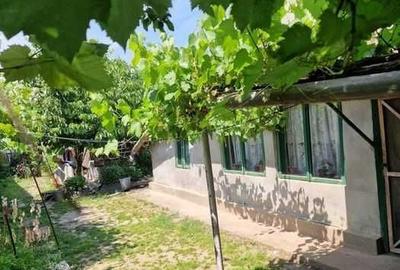 Casă cu 4 camere în Central - 5