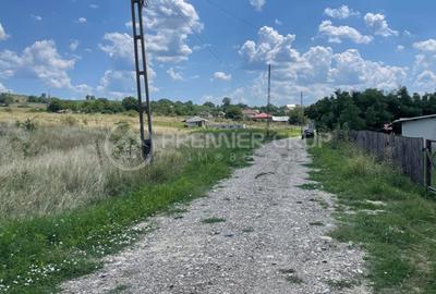 Teren extravilan cu deschidere la 2 drumuri - Miroslava 4500mp - 3