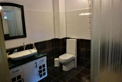 Casă cu 5 camere în Moșnița Nouă