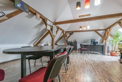 CASA BARTOLOMEU- sediu firma/ comercial/ servicii- zona circulata - 7