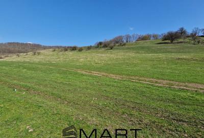 Teren extravilan 16420 mp | Sibiu - Daia - 2