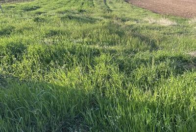 Teren Construcții intravilan de 1077 mp, în Micești - 1