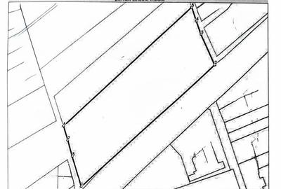 Teren intravilan Girisu De Cris - 1