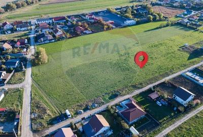 Teren 3,568mp Colonia Bod / Strada Rozelor - 7