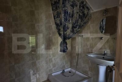 Casă cu 7 camere cu Teren 1535 Mp în Vetiș - 7