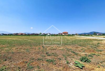 Teren Pretabil Investitie Harman - 12