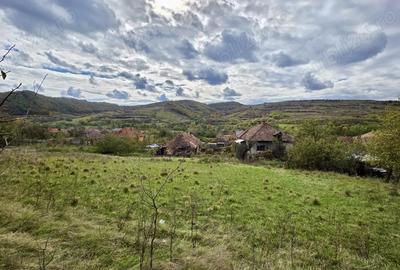 Casa de vanzare in Sanpetru Alma?ului, Hida, jud. Salaj-teren 7500 mp - 5