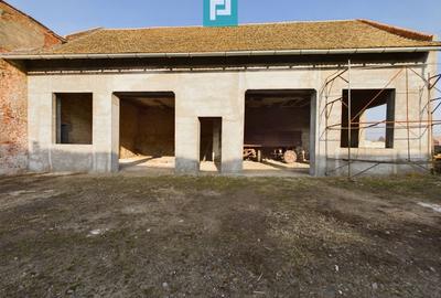 Teren și hale pe calea Aradului în Periam - 7