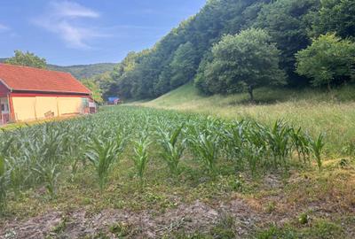 Spațiu comercial, în Leșnic - 5