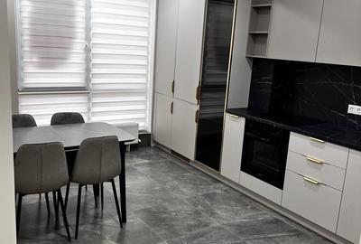 Inchiriere apartament o camera zona centrala, mall Platinia - 3