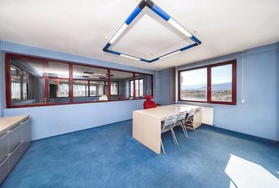 Sediu Firma - Showroom - 35